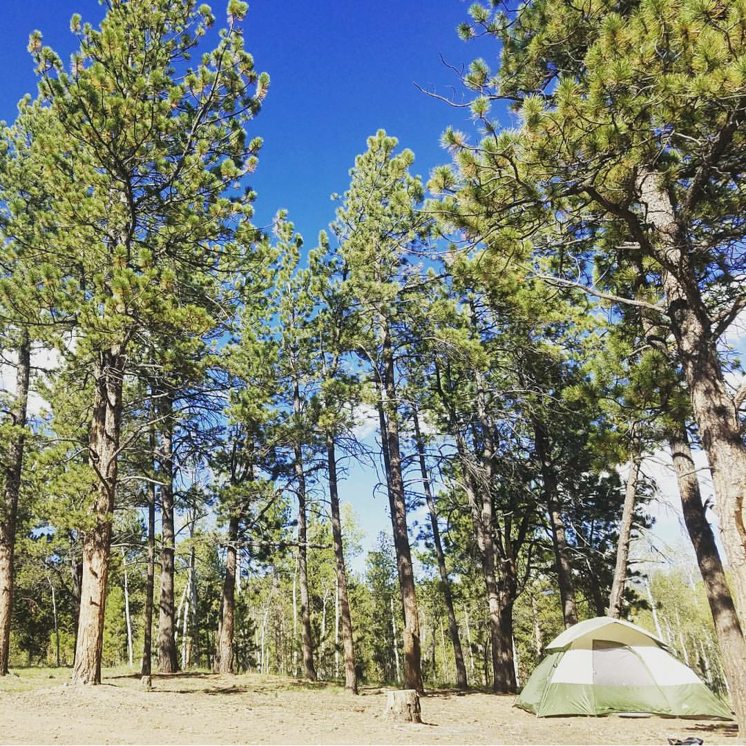 Camping in Pikes National Forest